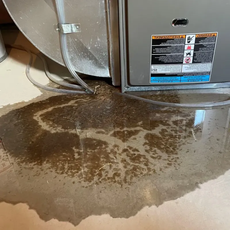 Pipe Burst and Leak Restoration in Arcanum, OH